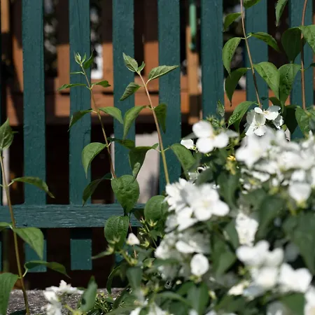 Bruderhaus 18 شقة