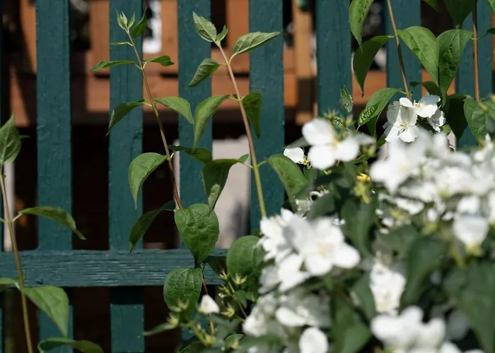 Bruderhaus 18 דירה